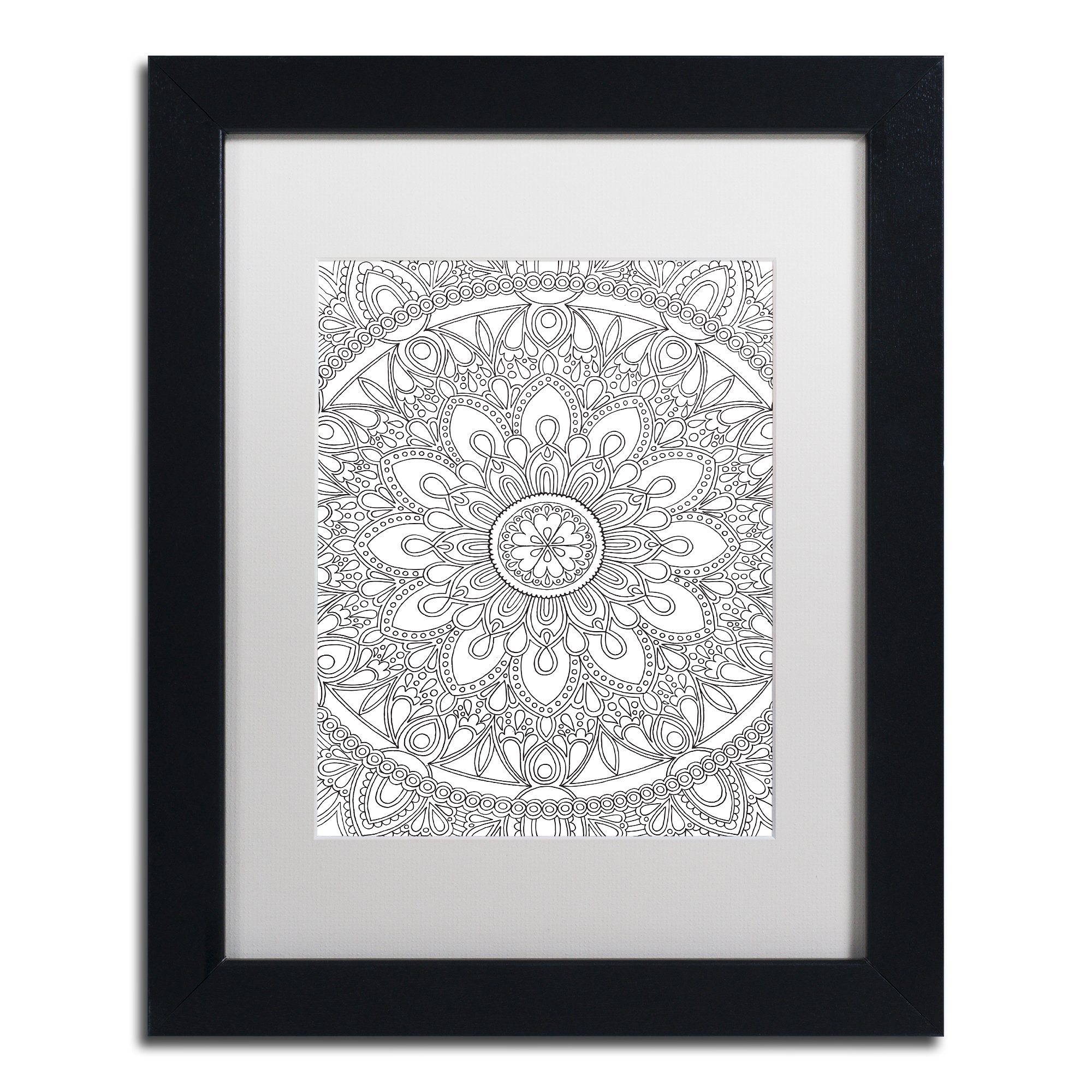 Amazon.com: Trademark Fine Art ALI2843-B1114MF Delightful